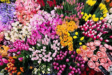 《使命召唤：现代战争3》大概率会在7月24日登陆XGP